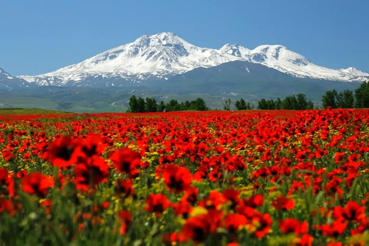 سبلان جهانی می‌شود