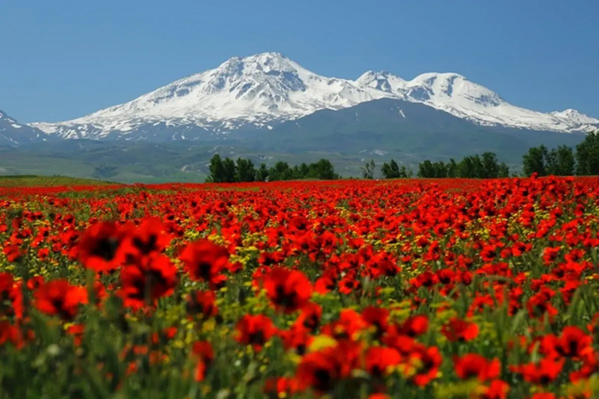 سبلان سند دار می‌شود