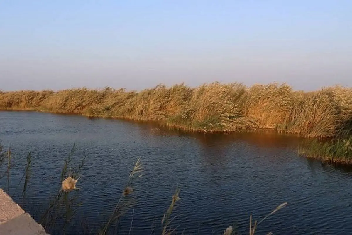 گسترش ارتباطات بین‌المللی؛ راهکار رفع مشکلات تالاب هورالعظیم