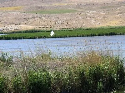 حفاظت از تالاب‌های ایران با استفاده از رویکرد زیست‌بومی