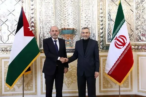 Jordanian top diplomat visits Tehran holds talks with acting Iran FM