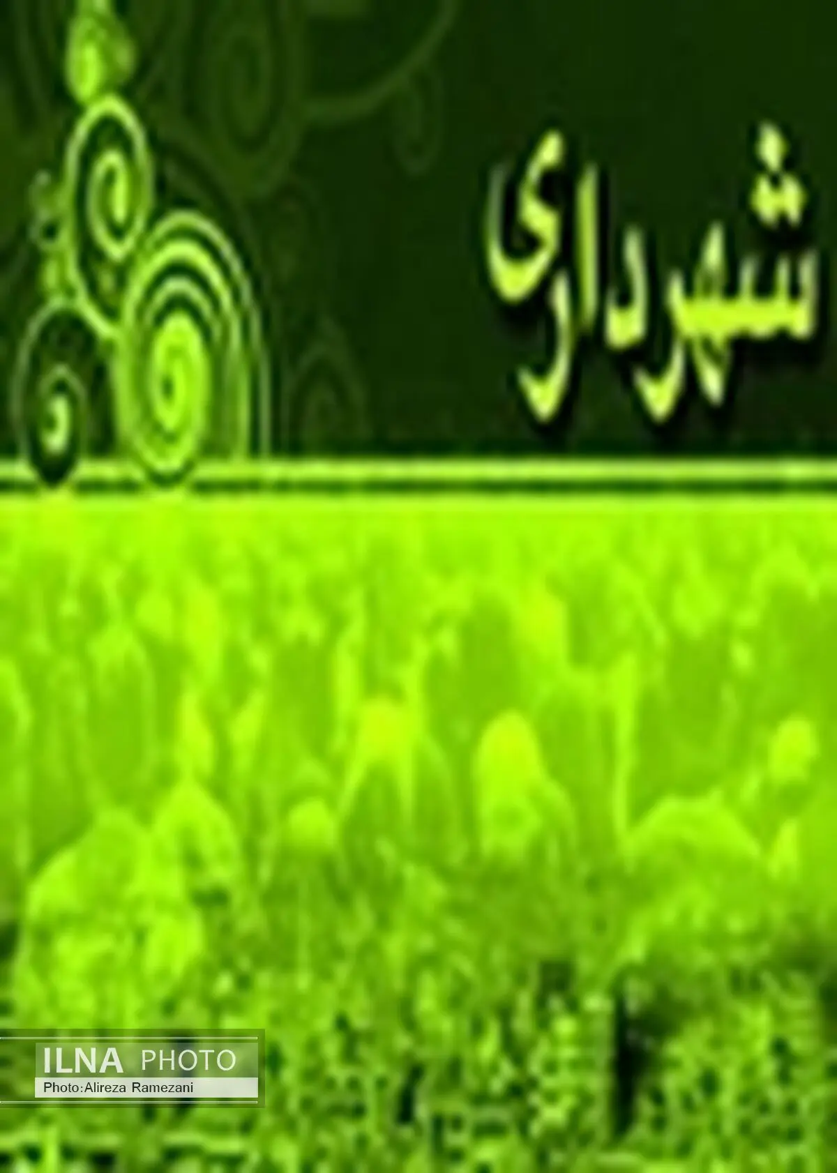 بودجه پیشنهادی سال 95 تا پایان دی‌ماه به شورای اسلامی شهر ارسال می‌شود