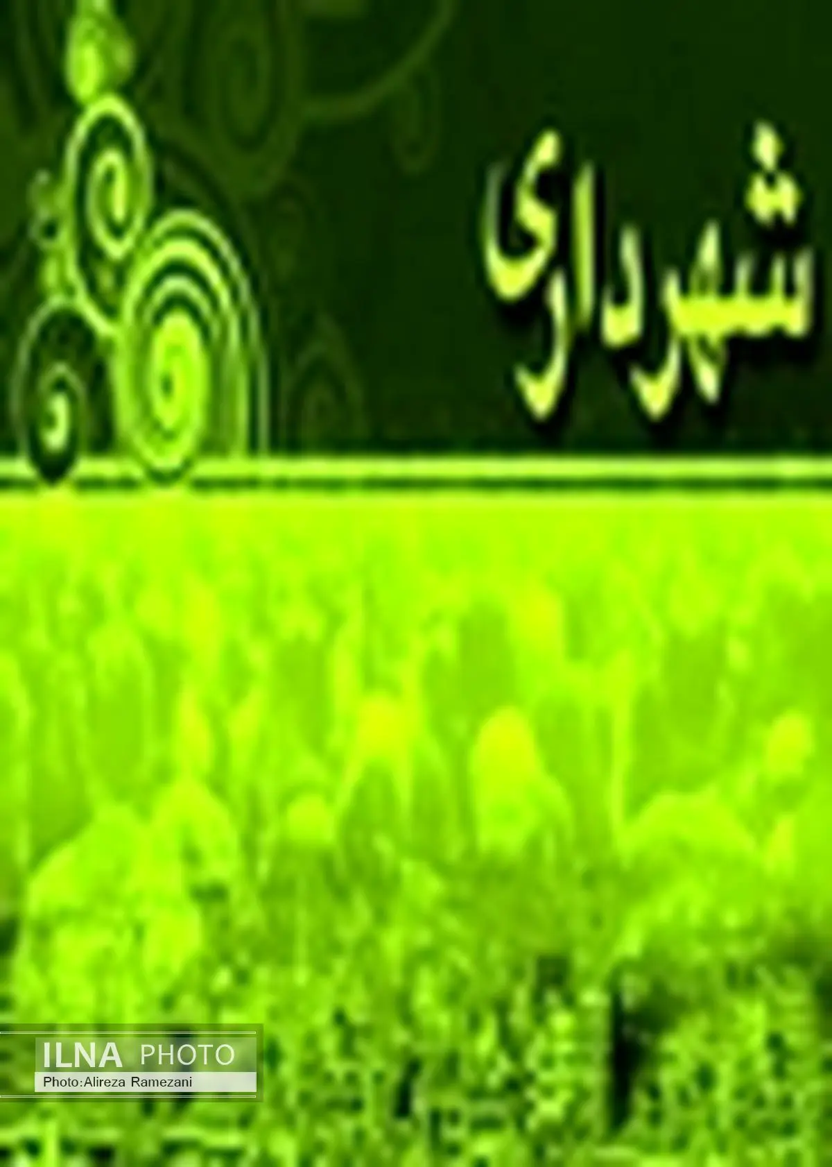 بودجه پیشنهادی سال 95 تا پایان دی‌ماه به شورای اسلامی شهر ارسال می‌شود