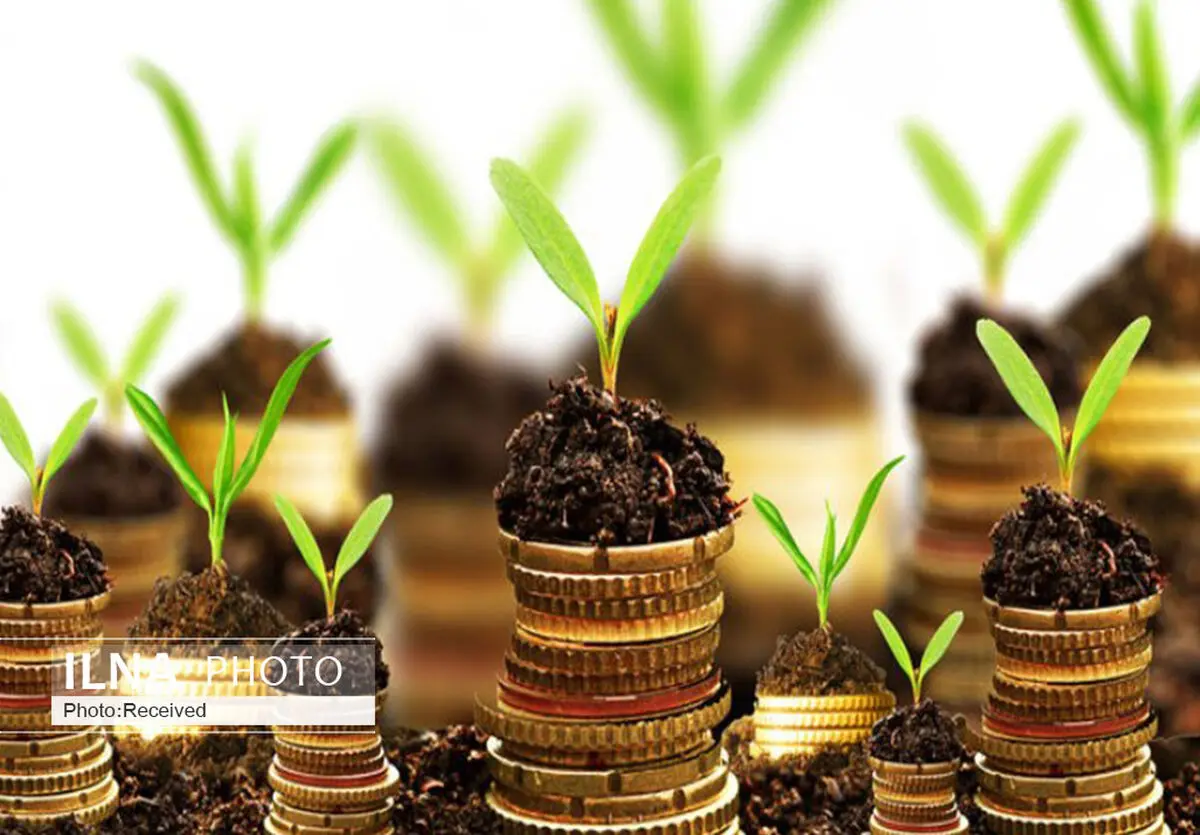 بیش از دو هزار قزوینی تسهیلات اشتغال پایدار کشاورزی دریافت کردند