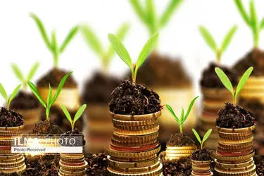 پرداخت 711 میلیارد تومان تسهیلات به واحدهای کشاورزی قزوین