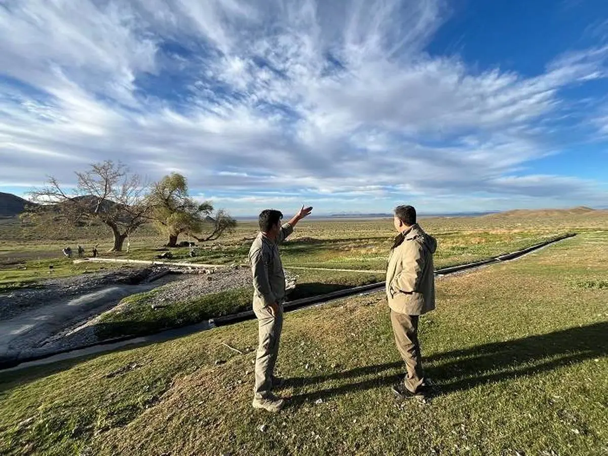 افزایش قابل توجه جمعیت گور آسیایی در پارک ملی قطرویه

