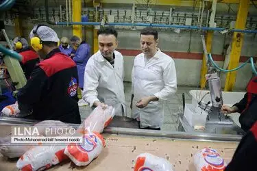 رشد ۲ درصدی عرضه گوشت طیور در کشتارگاه‌های رسمی کشور 