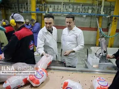  آغاز خرید مرغ مازاد بازار از امروز 