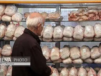 مرغداران به تعهد خود عمل کرده‌اند/ گران فروشی را وزارت صمت پاسخگو باشد