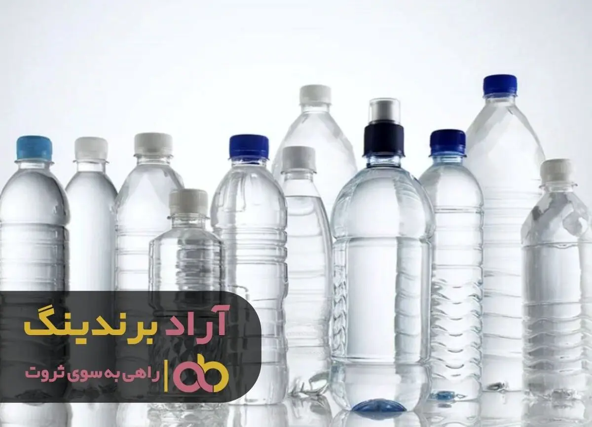 چگونه با تلاش صحیح به کلید موفقیت رسیدم