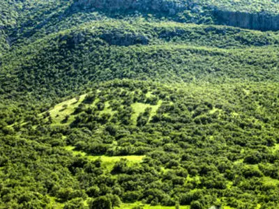 زاگرس یکی از کانون‌های مهم تنوع زیستی جهان است