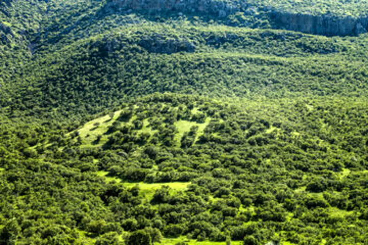 زاگرس یکی از کانون‌های مهم تنوع زیستی جهان است