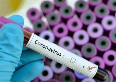 کرونا همچنان بالاتر از آستانه هشدار قرار دارد