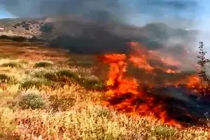 تصاویری از آتش‌سوزی در پارک ملی گلستان