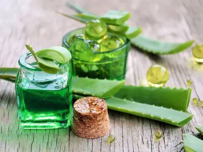 اگر شیرینی زیاد می خورید این گیاه را مصرف کنید تا دیابت نگیرید
