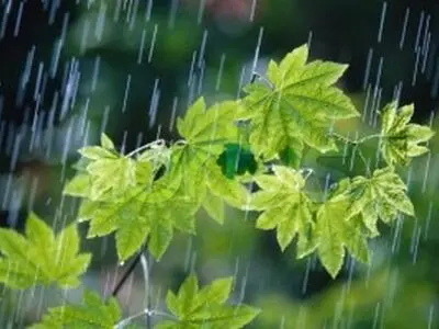 کاهش 8 درصدی میزان بارندگی نسبت به سال آبی گذشته/شدت کاهش بارندگی در حوزه آبریز خلیج فارس