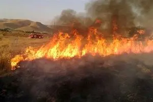 ۴۰ هکتار مزارع گندم گیلانغرب در آتش سوخت