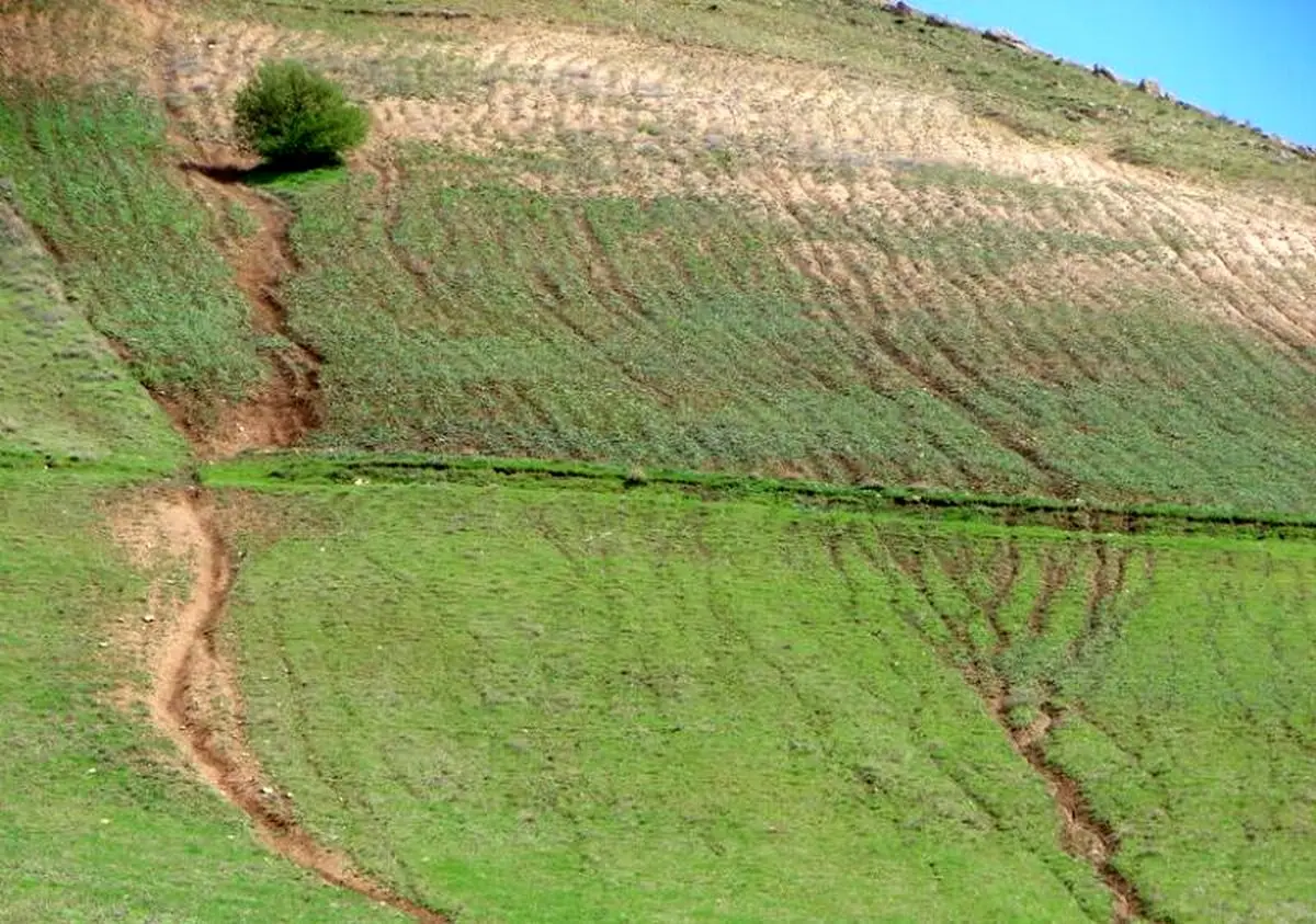 فرسایش و شوری خاک؛ چالش خاموش کشاورزی گلستان/فرسایش خاک تهدیدی جدی برای حاصلخیزی زمین 