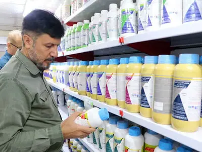 بازرسی از 230 فروشگاه سموم کشاورزی در قزوین