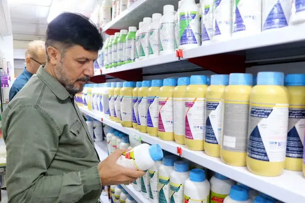 بازرسی از 230 فروشگاه سموم کشاورزی در قزوین