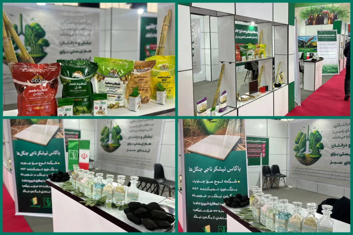 یک‌چهارم پویش درختکاری خوزستان بر دوش نیشکر/ نقش محوری در حفظ منابع طبیعی
