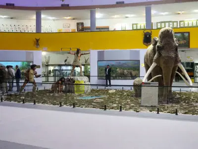  گنجینه زمین‌شناسی موزه تاریخ‌ طبیعی دانشگاه شیراز غنی‌تر شد