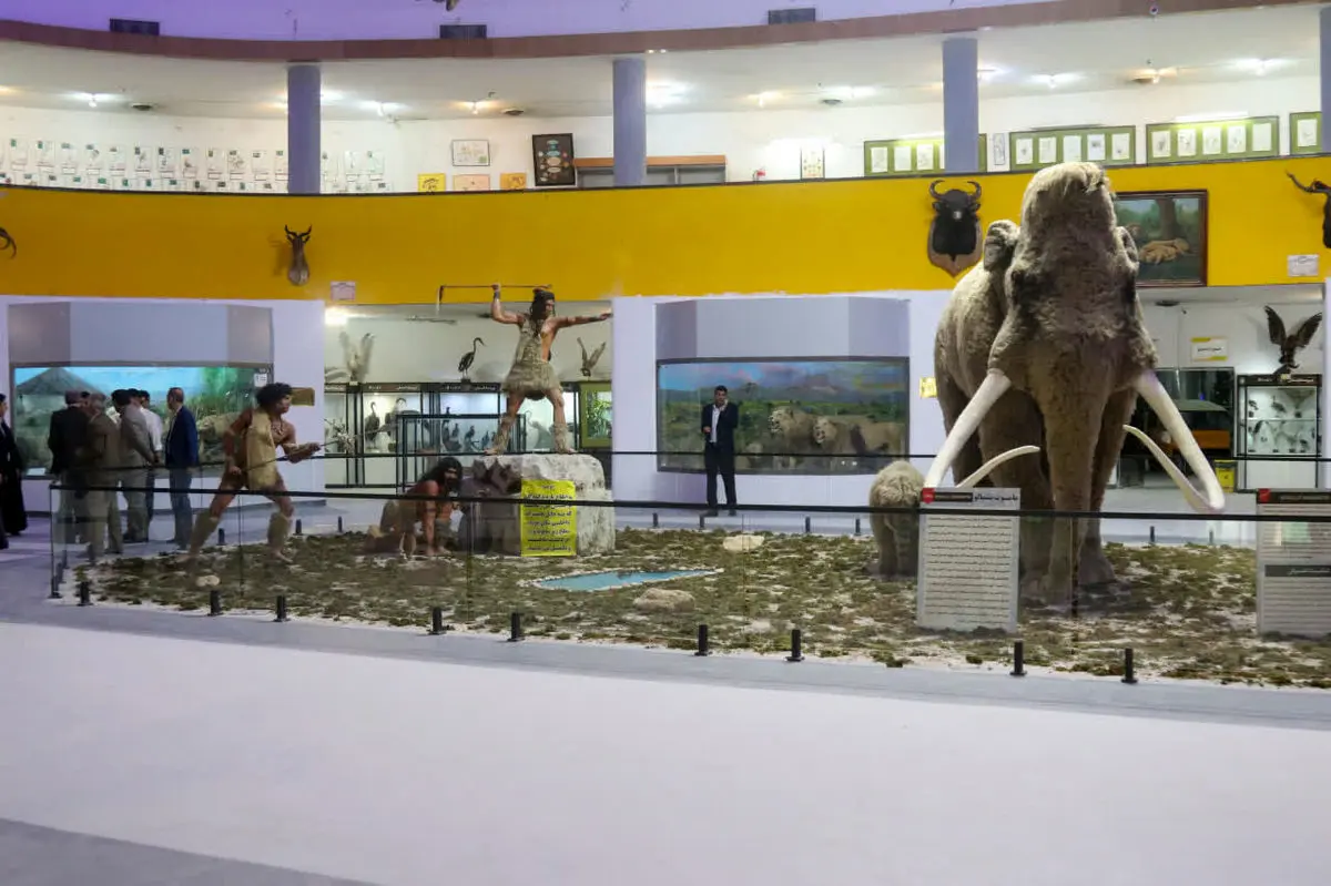  گنجینه زمین‌شناسی موزه تاریخ‌ طبیعی دانشگاه شیراز غنی‌تر شد