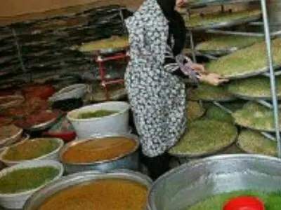 آغاز ثبت‌نام متقاضیان راه‌اندازی کسب و کارهای خانگی در آذربایجان غربی