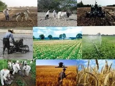 کاهش ۱۰ درصدی تورم تولیدکنندگان عمده خوراکی