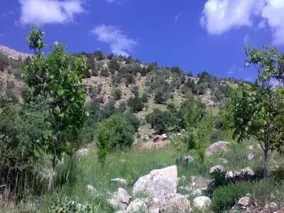 ذخیره گاه جنگلی الموت غربی در فهرست آثار ملی ثبت شد