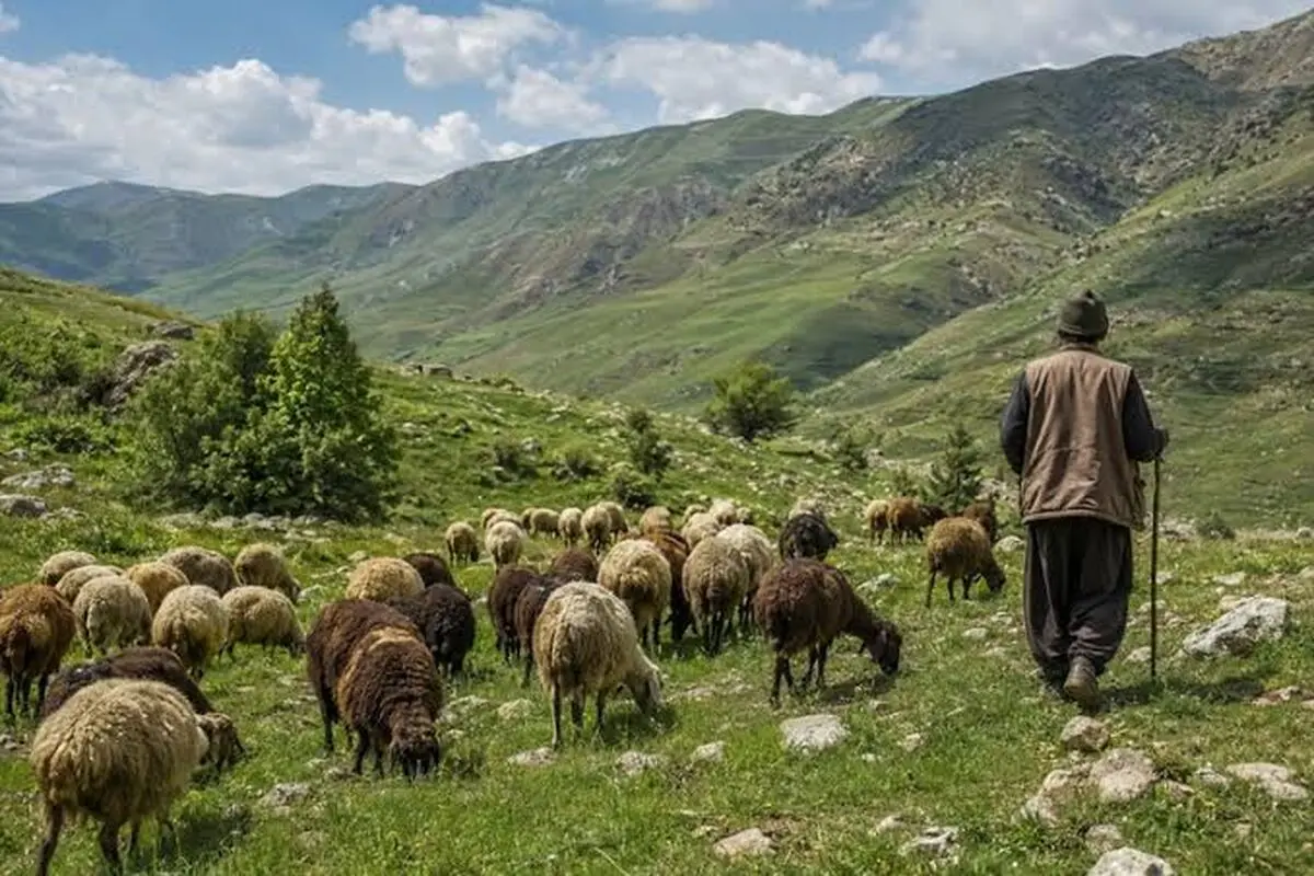 تخصیص اعتبار و توزیع 12 دستگاه آبشخوار فلزی در مراتع استان مرکزی / اعتبارات 3 میلیارد ریالی تخصیص داده شد