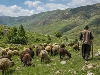 تخصیص اعتبار و توزیع 12 دستگاه آبشخوار فلزی در مراتع استان مرکزی / اعتبارات 3 میلیارد ریالی تخصیص داده شد