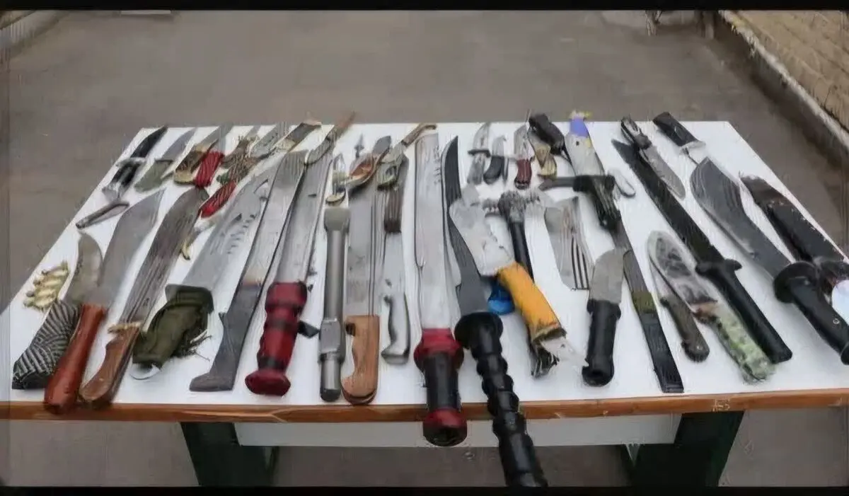 کشف 82 قبضه سلاح سرد از یک اتوبوس در لاریجان شهرستان آمل