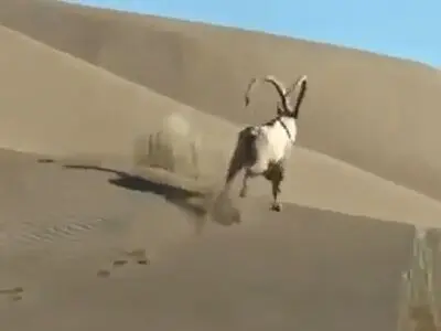 تشکیل پرونده قضایی برای آفرود سواران متخلف در آران و بیدگل 