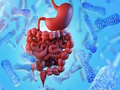 میکروب معده را با چه مواد غذایی از بین ببریم؟ 
