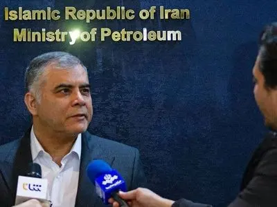 مشارکت پتروشیمی‌ها در توسعه میادین گازی، کلید تأمین پایدار خوراک