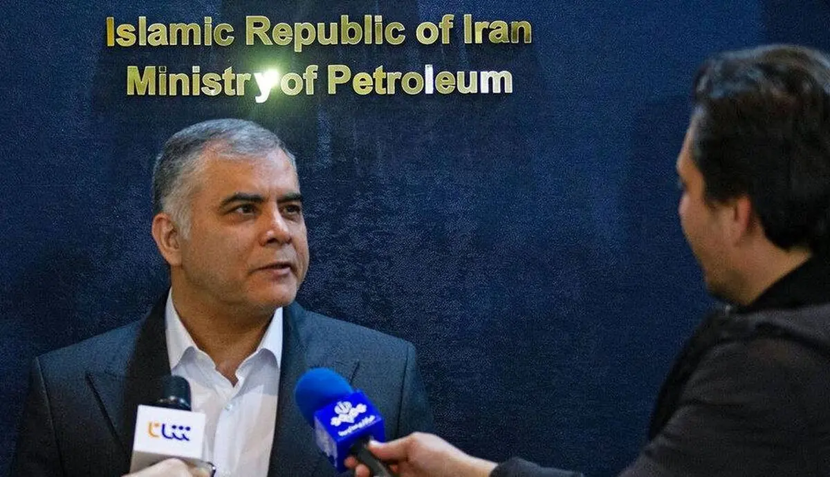 مشارکت پتروشیمی‌ها در توسعه میادین گازی، کلید تأمین پایدار خوراک