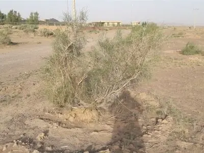 «سراجه قم»  یکی از کانون‌های اصلی گرد و غبار است