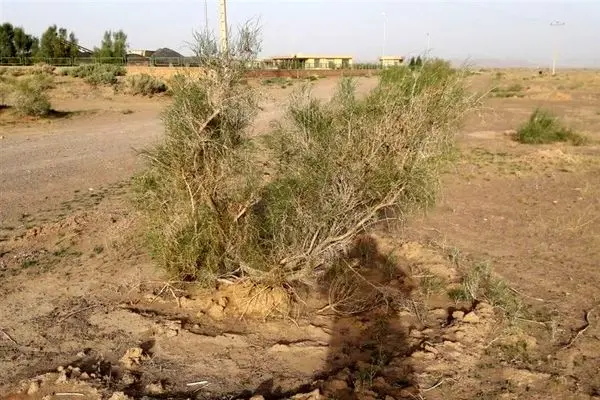 «سراجه قم»  یکی از کانون‌های اصلی گرد و غبار است