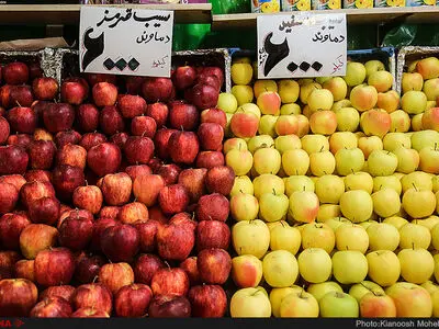 انصاف نیست سیبی که کیلویی ۷ هزار تومان تمام می‌شود، به قیمت کیلویی ۲ هزار تومان از کشاورزی خریداری شود