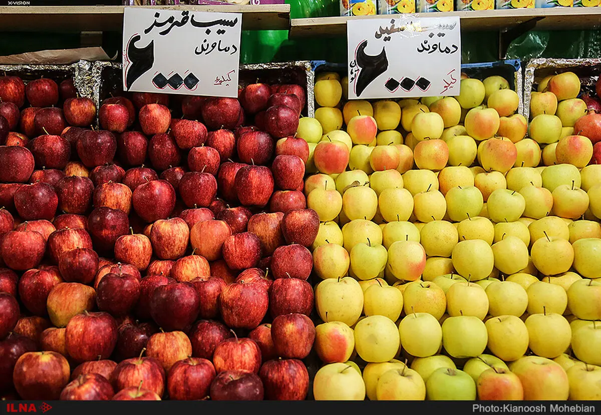 انصاف نیست سیبی که کیلویی ۷ هزار تومان تمام می‌شود، به قیمت کیلویی ۲ هزار تومان از کشاورزی خریداری شود