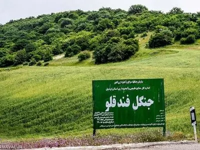  احیاء وغنی سازی 22  هکتار از جنگل فندقلو  اردبیل