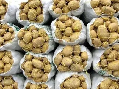مجوز ۵۰ هزار تن وارادت این محصول صادر شده‌است