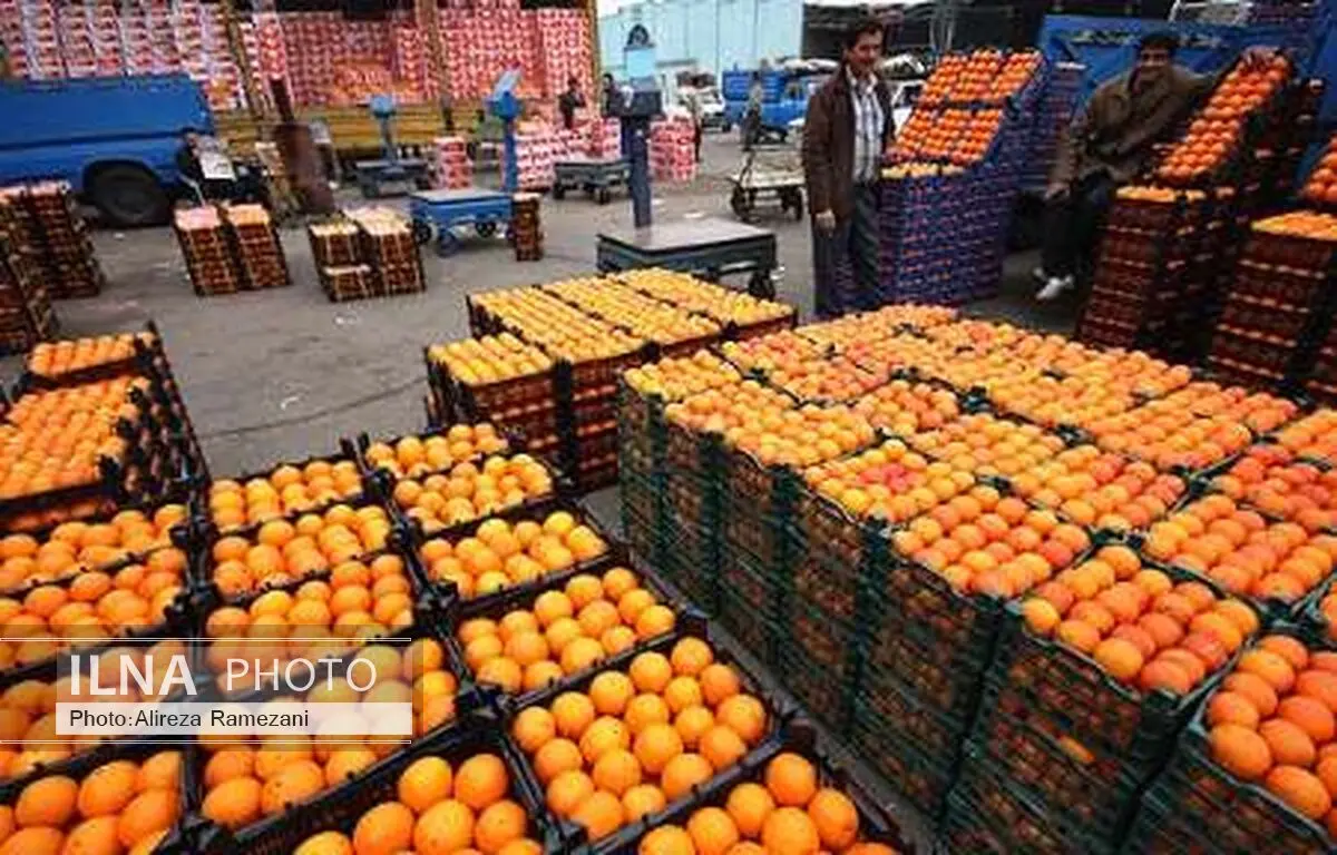 پراکندگی در صادرات مرکبات یکی از معظلات این صنعت به شمار می رود
