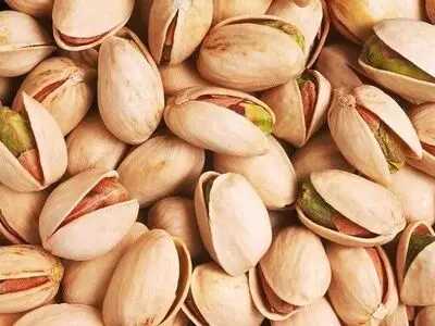 پسته قم، باغداری باستانی