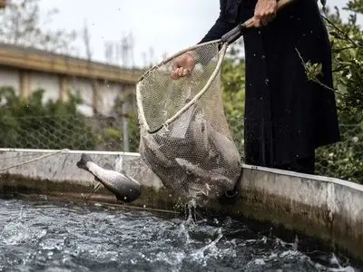یک بام و دو هوا در مبارزه با تغییر کاربری اراضی‌ها در کهگیلویه و بویراحمد / مزارع ماهیان سردآبی در اراضی غیرمجاز / مزارعی که سلامتی مردم را نشانه گرفته است