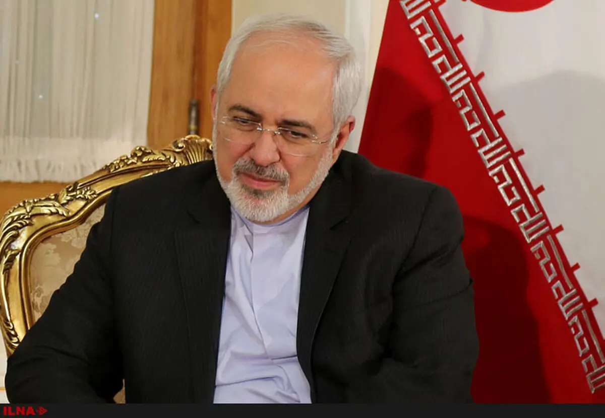ظریف با مدیرکل سازمان جهانی مالکیت معنوی دیدار کرد