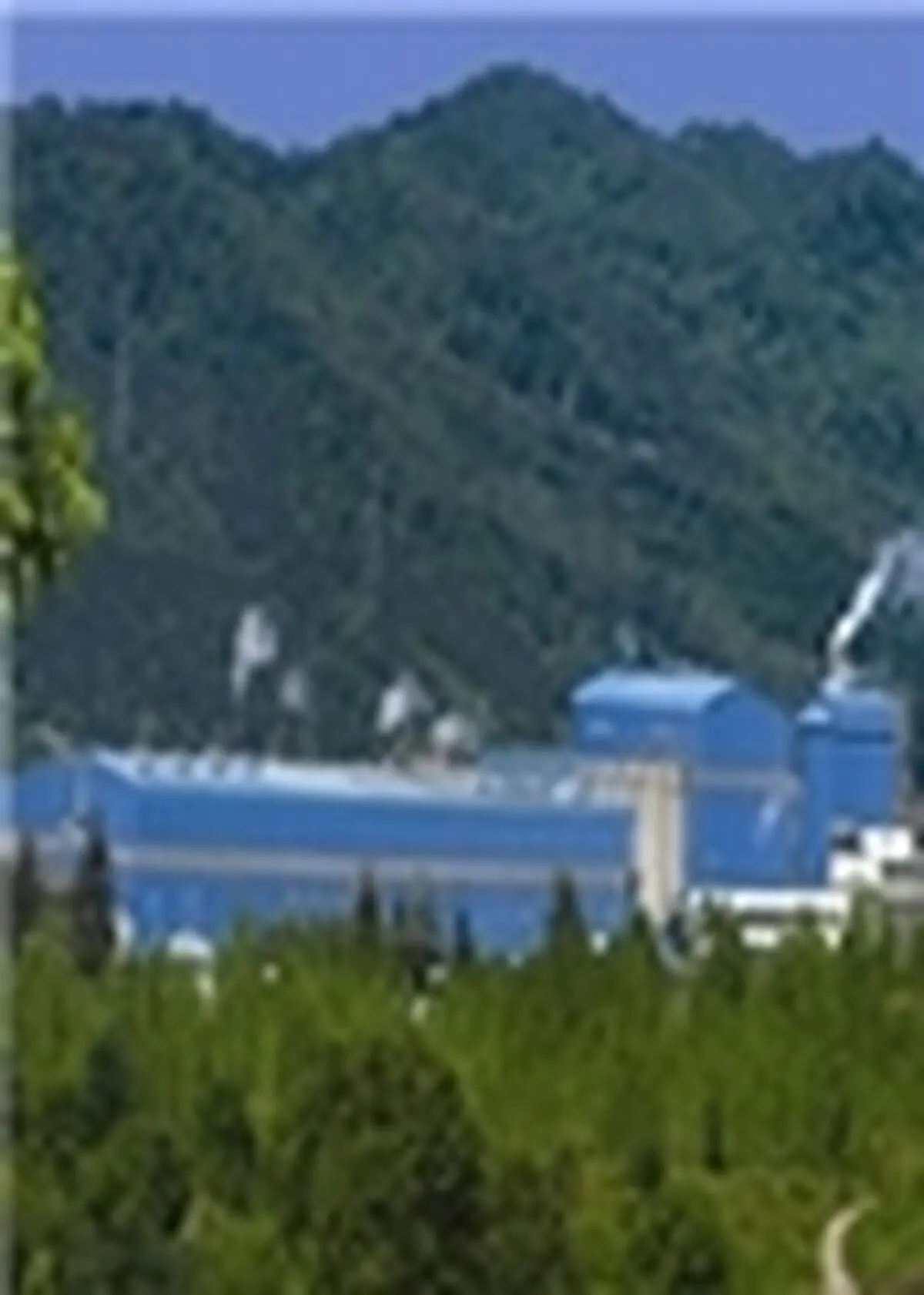 بازدید ۱۸۵ گروه دانش آموزی، دانشجوئی از شرکت صنایع چوب و کاغذ مازندران