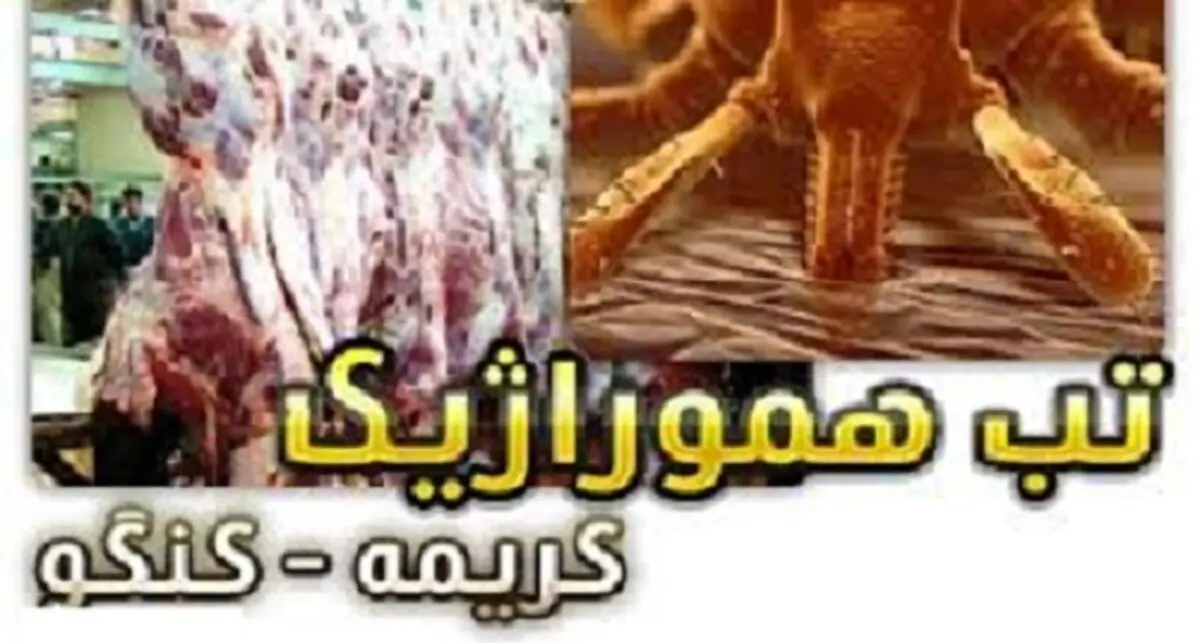 تب کریمه کنگو؛ بیماری بومی تازه شناخته شد