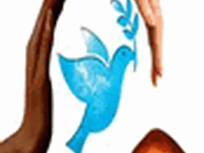 نماینده سازمان ملل؛ امید حجت را سفیر صلح نامید